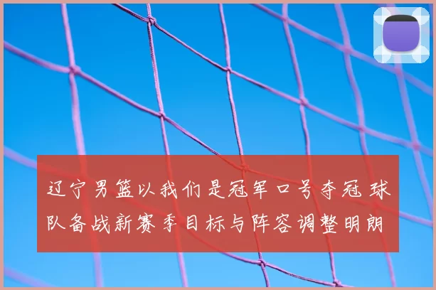 辽宁男篮以我们是冠军口号夺冠 球队备战新赛季目标与阵容调整明朗