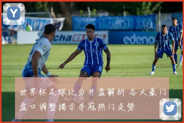 世界杯足球比分开盘解析 各大豪门盘口调整揭示夺冠热门走势