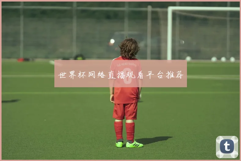 世界杯网络直播观看平台推荐