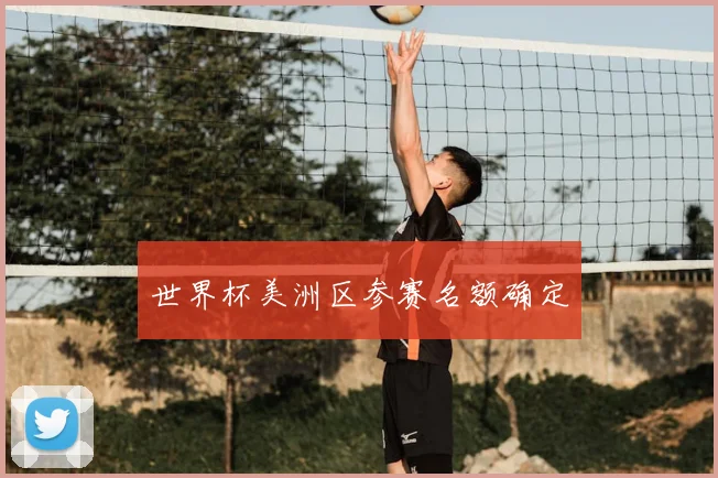 世界杯美洲区参赛名额确定
