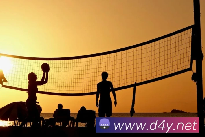 App Interface Preview